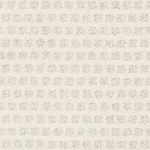 THE ARTS by Shaw Floors - Snowfall