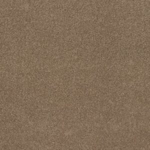 QUIET COMFORT CLASSIC IV by Shaw Floors - Pebble Path