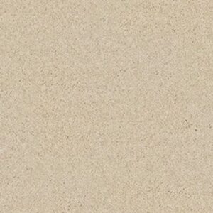 QUIET COMFORT II by Shaw Floors - Yearling