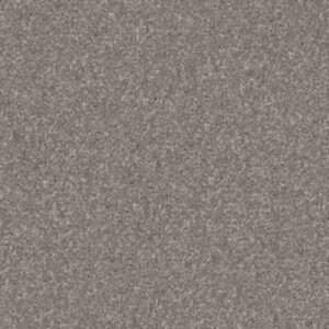 QUIET COMFORT CLASSIC IV by Shaw Floors - Barnboard