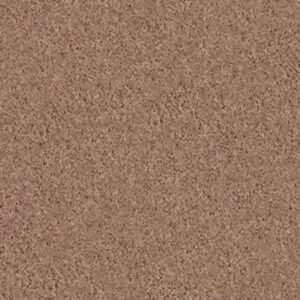 WELL PLAYED I 15' by Shaw Floors - Pebble Creek