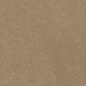 SOURCE II by Shaw Floors - Almond Tone