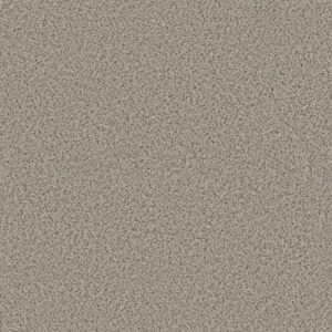 STRANDS OF NATURE II by Shaw Floors - Gentle Rain