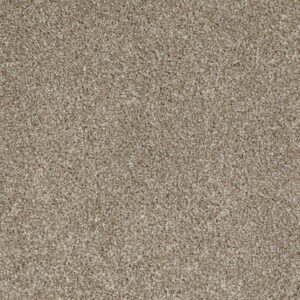 ALWAYS READY I by Shaw Floors - Warmth