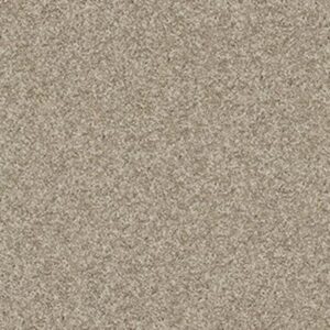 ENDURING COMFORT II by Shaw Floors - Smooth Slate