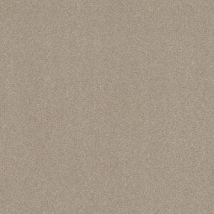 WELL GROUNDED I 15 by Shaw Floors - Dreamy