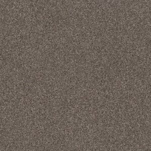 CALM SIMPLICITY I by Shaw Floors - Antelope