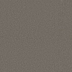 SWEET INSPIRATION II by Shaw Floors - Weathered Siding