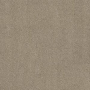 INSPIRED BY III by Shaw Floors - Natural