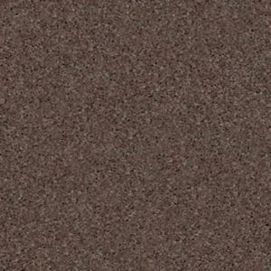 BEAUTIFULLY SIMPLE II 15' by Shaw Floors - Briar Patch