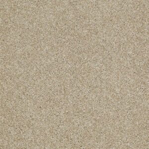 SUN DRENCHED by Shaw Floors - Wool Skein