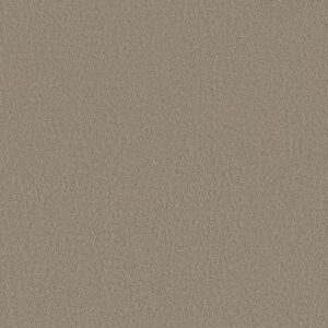 AERIAL VIEW by Shaw Floors - Burnished Clay