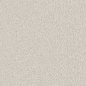 AERIAL VIEW by Shaw Floors - Cotton