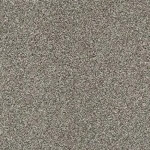 ALL ABOUT IT by Shaw Floors - Bird Bath
