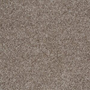 MAKE IT YOURS (S) by Shaw Floors - Driftwood Solid