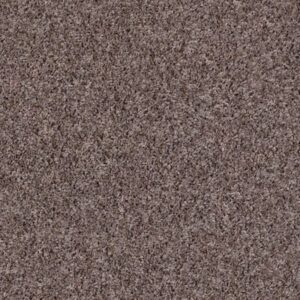 SEE ME by Shaw Floors - Driftwood