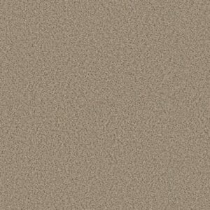 ELEMENTAL MIX II by Shaw Floors - Sand Castle