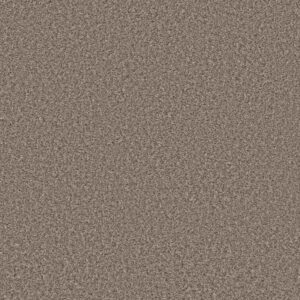 COOL FLAIR by Shaw Floors - Tempting Taupe
