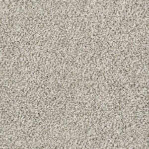 ALL SET II by Shaw Floors - Smoky Gray