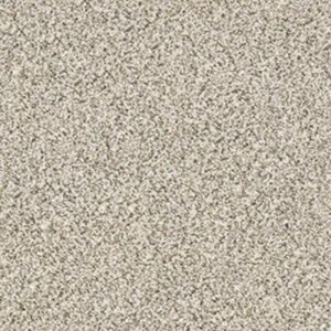 ALL SET I by Shaw Floors - Goose Feather