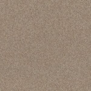 COOL FLAIR by Shaw Floors - Resort Sand