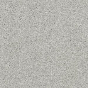 ALWAYS READY II by Shaw Floors - Vapor