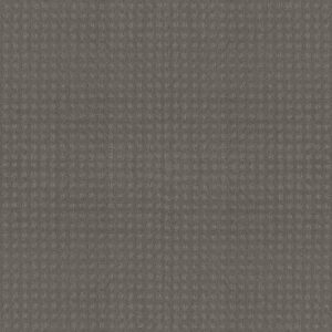 ALLURING DISPOSITION by Shaw Floors - Slate