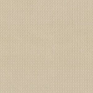 ALLURING DISPOSITION by Shaw Floors - Ivory Paper