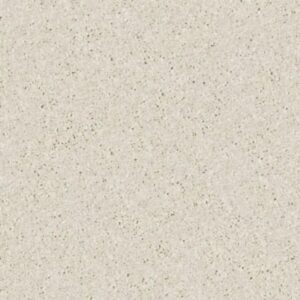 NEWBERN CLASSIC 12' by Shaw Floors - Taupe