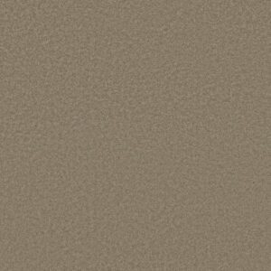 SANDY HOLLOW I 12' by Shaw Floors - Chinchilla