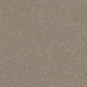 TRUSPIRIT I by Shaw Floors - Cottage