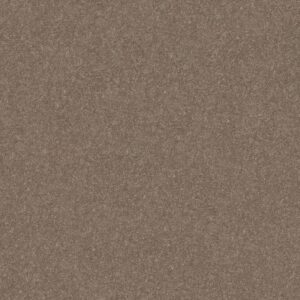 SMOOTH TALK II by Shaw Floors - Cedar Key