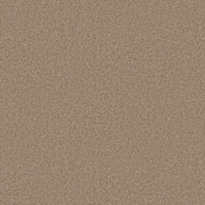 YOU GOT THIS II by Shaw Floors - Worn Path