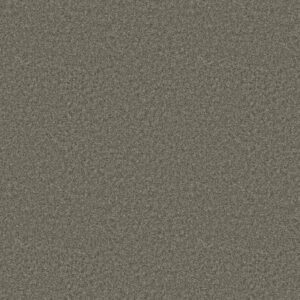 YOU GOT THIS II by Shaw Floors - Rerooted Nature