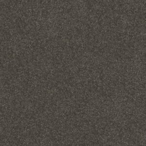 WITHOUT LIMITS III by Shaw Floors - Derby
