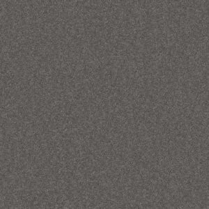 WITHOUT LIMITS II by Shaw Floors - Granite