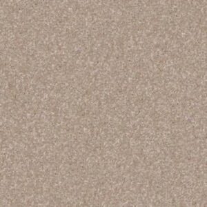 OPPORTUNITY KNOCKS by Shaw Floors - Havana