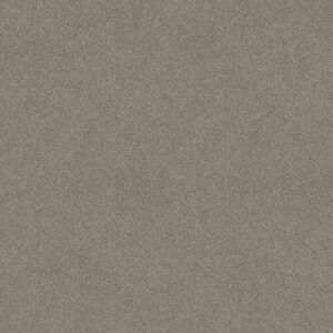 FANTASTICAL by Shaw Floors - Radiance