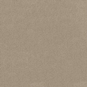 MOMENT OF TRUTH by Shaw Floors - Cork Board