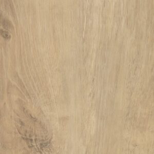 Endura Plus by Shaw Floors - Marina