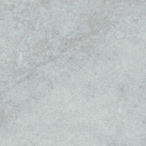 Arena BN by Shaw Floors - Silver