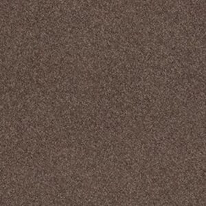 QUIET COMFORT CLASSIC II by Shaw Floors - Spring - Wood