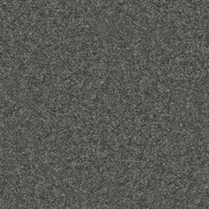 QUIET COMFORT CLASSIC II by Shaw Floors - Onyx