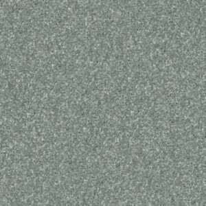 NEWBERN CLASSIC 15' by Shaw Floors - Haze