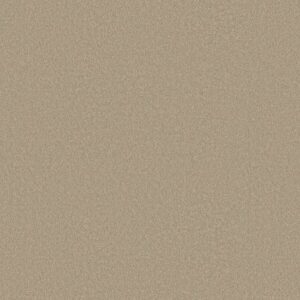 TIMELESS APPEAL I 12' by Shaw Floors - Oatmeal