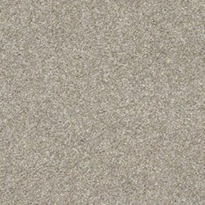 ALL OVER IT II by Shaw Floors - Misty Harbor