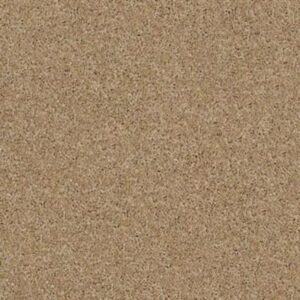 EMBARK by Shaw Floors - Natural Wood