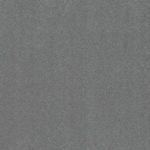 CHALLENGE ACCEPTED I 12' by Shaw Floors - Sweet Blue
