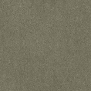 EMBARK by Shaw Floors - Silver Sage