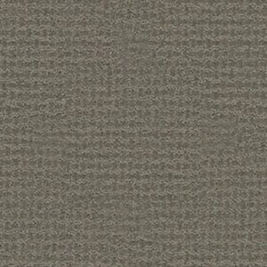 FAST LANE by Shaw Floors - Pewter
